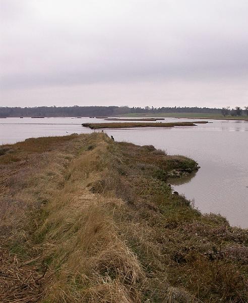 Bulcamp Marshes - DSCN3637.JPG
